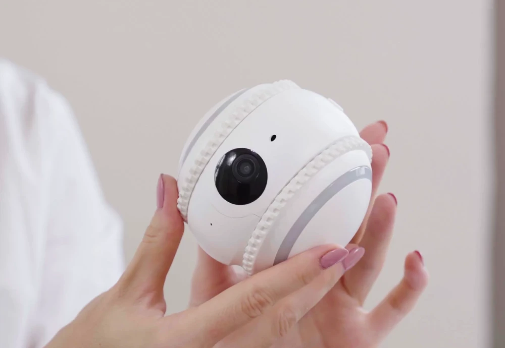 interactive pet camera for cats