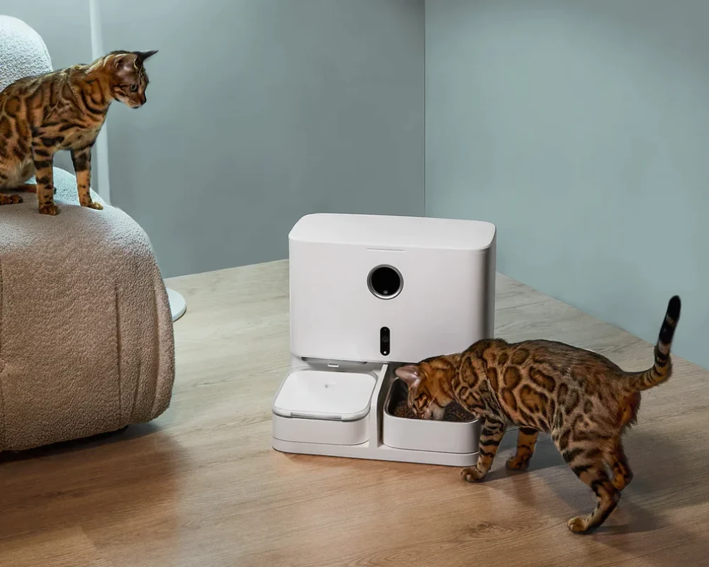 automatic pet feeder and water dispenser