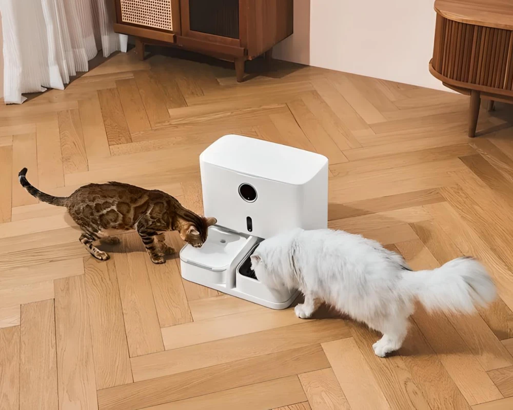 pet automatic feeder dispenser